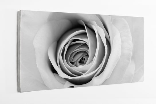 Obraz na płótnie HOMEPRINT, detale, róża, czarno-białe, zbliżenie, kwiat 120x50 cm HOMEPRINT
