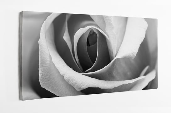 Obraz na płótnie HOMEPRINT, detale, róża, czarno-białe, zbliżenie, kwiat 140x70 cm HOMEPRINT