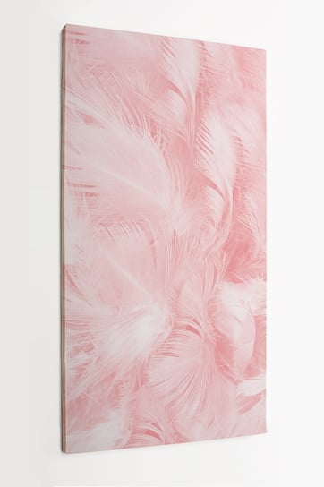 Obraz na płótnie HOMEPRINT, detale, różowe pióra 60x120 cm HOMEPRINT