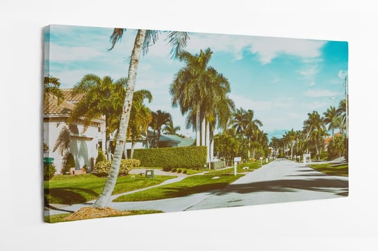Obraz na płótnie HOMEPRINT, droga, ulica z palmami i domami, dzielnica, Folryda 120x60 cm HOMEPRINT