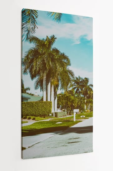 Obraz na płótnie HOMEPRINT, droga, ulica z palmami i domami, dzielnica, Folryda 60x120 cm HOMEPRINT