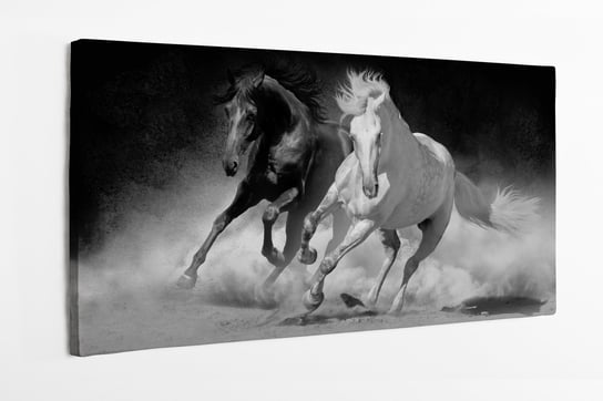 Obraz na płótnie HOMEPRINT, dwa konie andaluzyjskie w pustynnym pyle na ciemnym tle, czarno-białe, mustang, msutangi 120x60 cm HOMEPRINT
