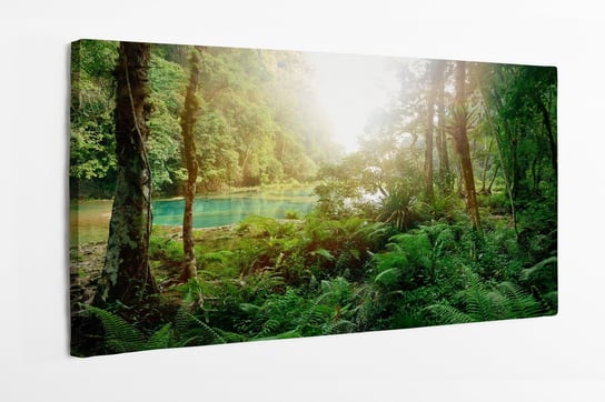 Obraz na płótnie HOMEPRINT, dżungla Majów, Semuc Champey Guate, las 100x50 cm HOMEPRINT