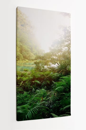Obraz na płótnie HOMEPRINT, dżungla Majów, Semuc Champey Guate, las 50x100 cm HOMEPRINT