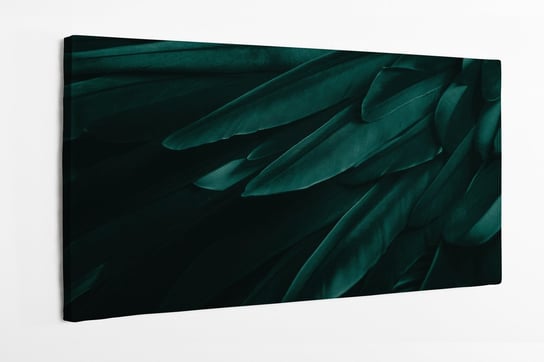 Obraz na płótnie HOMEPRINT, Egzotyczna struktura ptasich piór na czarnym tle, pióra w kolorze butelkowej zieleni, głęboka czerń 125x50 cm HOMEPRINT
