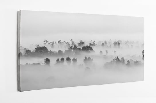 Obraz na płótnie HOMEPRINT, fotografia minimalistyczna, morze chmur, korony drzew w chmurach 100x50 cm HOMEPRINT