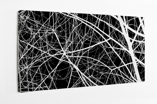 Obraz na płótnie HOMEPRINT, gałęzie, abstrakcja, czarno-białe, negatyw 100x50 cm HOMEPRINT