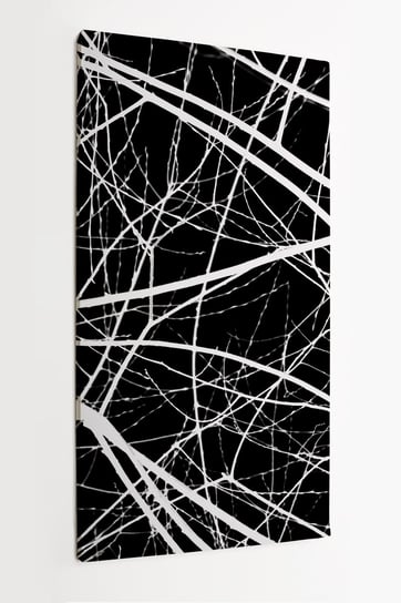 Obraz na płótnie HOMEPRINT, gałęzie, abstrakcja, czarno-białe, negatyw 50x100 cm HOMEPRINT