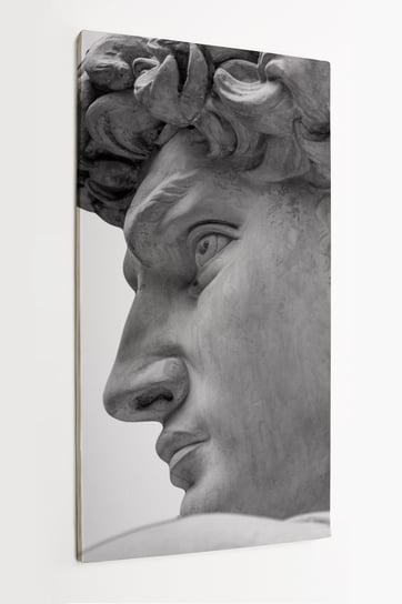 Obraz na płótnie HOMEPRINT, głowa posągu Michała Anioła, Dawida z Florencji, rzeźba 50x100 cm HOMEPRINT