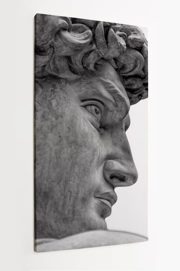 Obraz na płótnie HOMEPRINT, głowa posągu Michała Anioła, Dawida z Florencji, rzeźba 60x120 cm HOMEPRINT