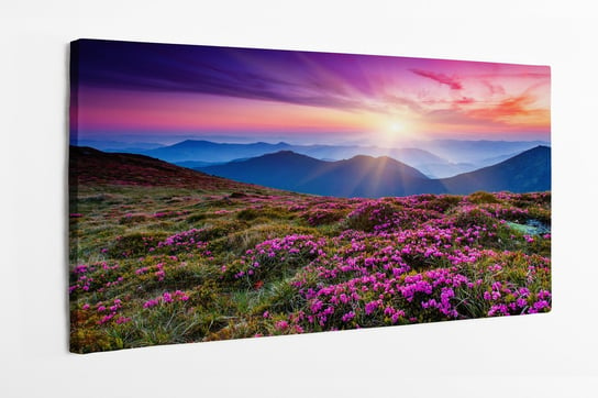 Obraz na płótnie HOMEPRINT, górska łąka ,fioletowe kwiaty ,wschód słońca, poranek, góry, pasmo górskie, pejzaż, krajobraz 100x50 cm HOMEPRINT