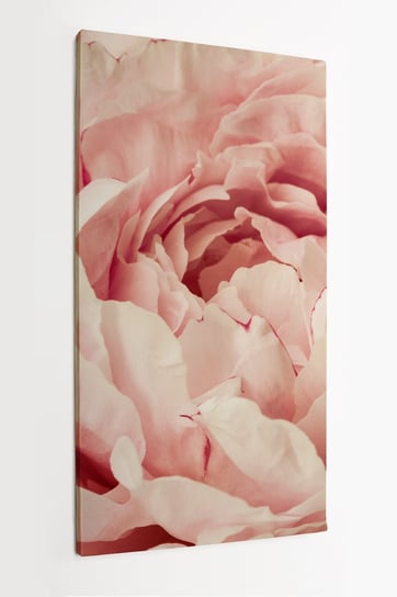 Obraz na płótnie HOMEPRINT, hortensja, różowa, baby pink, kwiat, piwonia, zbliżenie, detale 50x100 cm HOMEPRINT