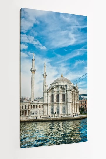Obraz na płótnie HOMEPRINT, Istanbul, panorama, miasto, dzień, architektura, Turcja 50x100 cm HOMEPRINT