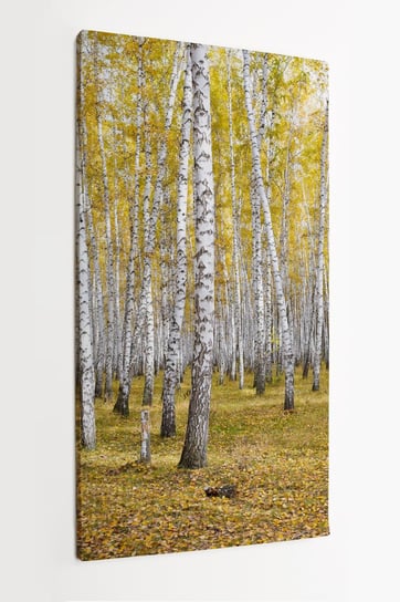 Obraz na płótnie HOMEPRINT, jesienny las, brzozy, brzozowy las, żółte liście 50x100 cm HOMEPRINT