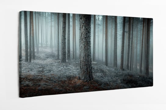 Obraz na płótnie HOMEPRINT,  jesienny mglisty las o poranku 120x60 cm HOMEPRINT