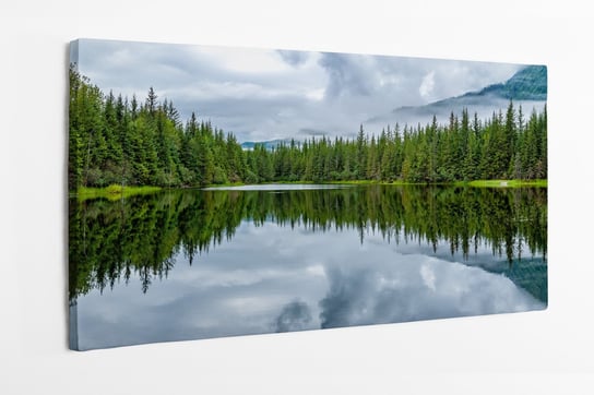 Obraz na płótnie HOMEPRINT, jezioro w pobliżu lodowca Mendhenall, Alaska, drzewa iglaste 100x50 cm HOMEPRINT