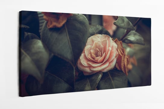 Obraz na płótnie HOMEPRINT, kamelia japońska, angielska róża, styl vintage 100x50 cm HOMEPRINT