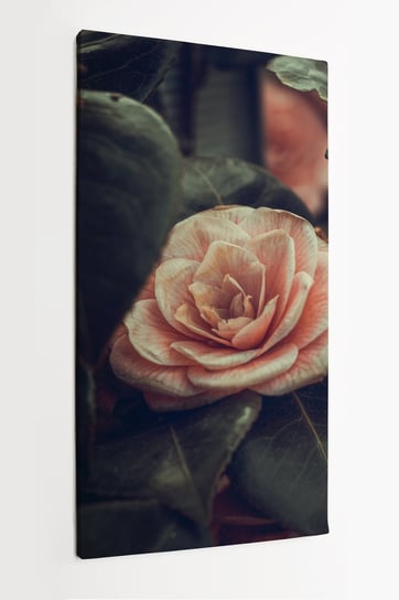 Obraz na płótnie HOMEPRINT, kamelia japońska, angielska róża, styl vintage 50x100 cm HOMEPRINT