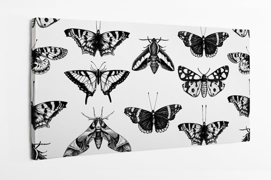 Obraz na płótnie HOMEPRINT, kolekcja biało-czarnych motyli na białym tle 100x50 cm HOMEPRINT