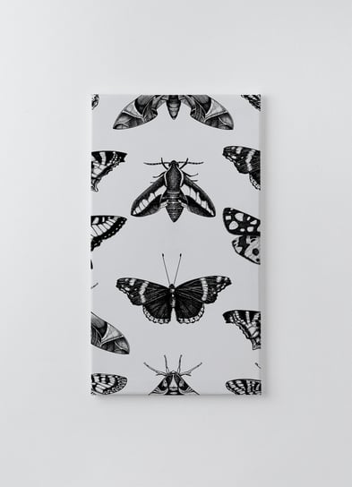 Obraz na płótnie HOMEPRINT, kolekcja biało-czarnych motyli na białym tle 50x100 cm HOMEPRINT