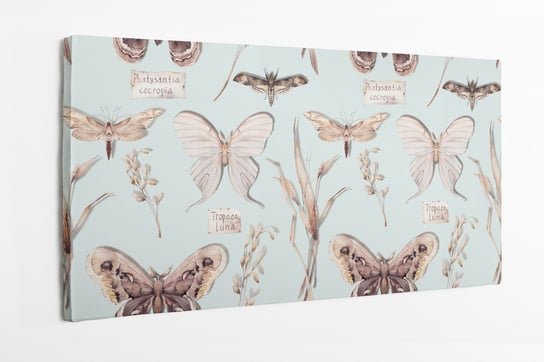 Obraz na płótnie HOMEPRINT, kolekcja motyli, vinatge, retro, owady 120x60 cm HOMEPRINT