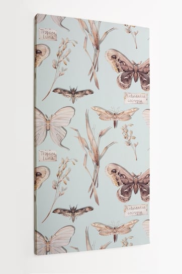 Obraz na płótnie HOMEPRINT, kolekcja motyli, vinatge, retro, owady 50x100 cm HOMEPRINT