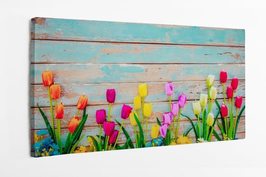 Obraz na płótnie HOMEPRINT, kolorowe tulipany na tle starych desek pomalowanych na turkusowy kolor 120x60 cm HOMEPRINT