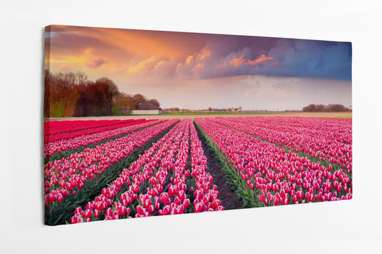 Obraz na płótnie HOMEPRINT, kolorowy, wiosenny, wschód słońca, farma tulipanów, Creil, Francja 140x70 cm HOMEPRINT