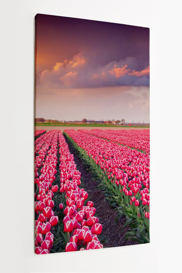 Obraz na płótnie HOMEPRINT, kolorowy, wiosenny, wschód słońca, farma tulipanów, Creil, Francja 60x120 cm HOMEPRINT
