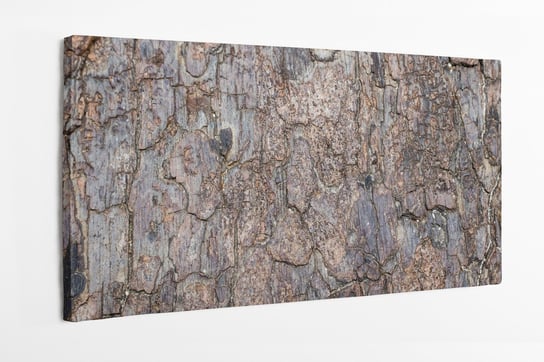 Obraz na płótnie HOMEPRINT, kora drzewa, drewno 100x50 cm HOMEPRINT