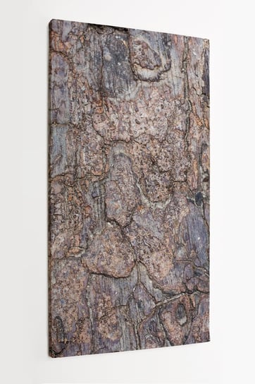 Obraz na płótnie HOMEPRINT, kora drzewa, drewno 50x100 cm HOMEPRINT