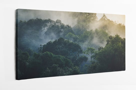 Obraz na płótnie HOMEPRINT, korony drzew, świt, wschód słońca, poranek w dżungli, las deszczowy 100x50 cm HOMEPRINT