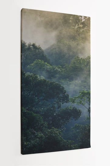 Obraz na płótnie HOMEPRINT, korony drzew, świt, wschód słońca, poranek w dżungli, las deszczowy 50x100 cm HOMEPRINT