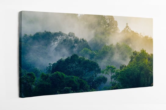 Obraz na płótnie HOMEPRINT, korony drzew, świt, wschód słońca, poranek w dżungli, las deszczowy, park Narodowy Khao Yai, 120x50 cm HOMEPRINT