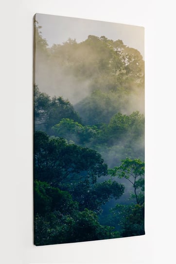 Obraz na płótnie HOMEPRINT, korony drzew, świt, wschód słońca, poranek w dżungli, las deszczowy, park Narodowy Khao Yai, 50x100 cm HOMEPRINT