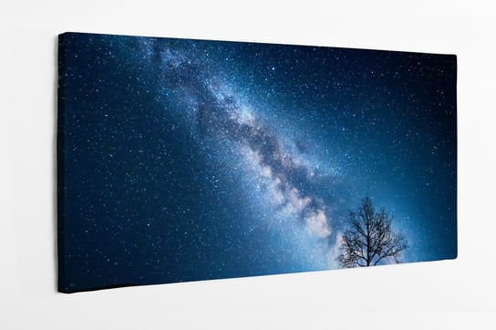 Obraz na płótnie HOMEPRINT, kosmos, droga mleczna, drzewo czarne, niebieskie 100x50 cm HOMEPRINT