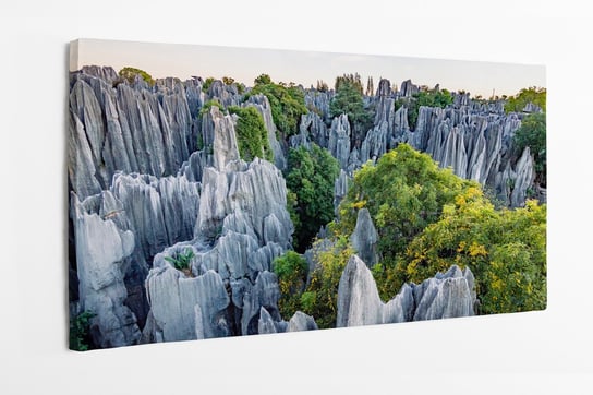 Obraz na płótnie HOMEPRINT, krajobraz, skały, kamienie, las, Kunming, Yunnan province, Chiny 100x50 cm HOMEPRINT
