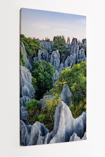 Obraz na płótnie HOMEPRINT, krajobraz, skały, kamienie, las, Kunming, Yunnan province, Chiny 50x100 cm HOMEPRINT