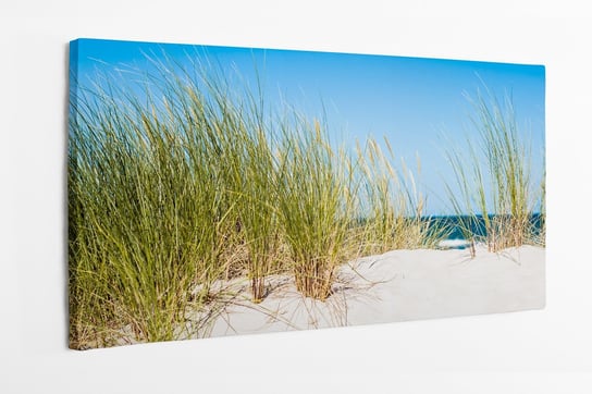 Obraz na płótnie HOMEPRINT, krajobraz z widokiem na morze, wydma piaskowa, niebieskie niebo, Łeba, Morze Bałtyckie, Polska 100x50 cm HOMEPRINT