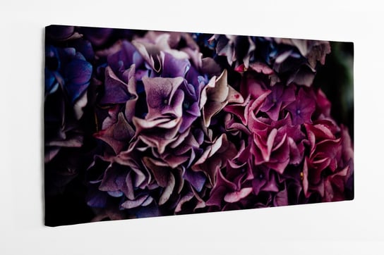 Obraz na płótnie HOMEPRINT, kwiat hortensji, fioletowy, różowy, ogród, bukiet 100x50 cm HOMEPRINT