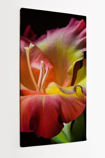 Obraz na płótnie HOMEPRINT, kwiat mieczyk z bliska, zbliżenie, detale 60x120 cm HOMEPRINT