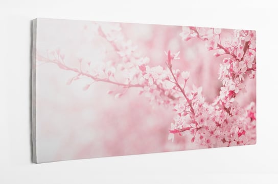 Obraz na płótnie HOMEPRINT, kwiat wiśni na wiosnę, Japonia, wiosna, kwitnące kwiaty, różowe 100x50 cm HOMEPRINT