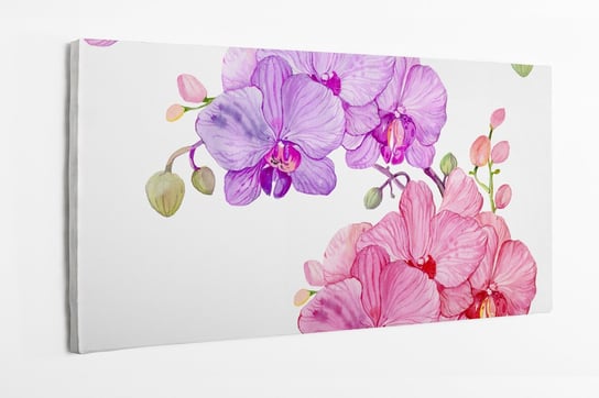 Obraz na płótnie HOMEPRINT, kwiaty orchidei, storczyk, fioletowe, różowe 100x50 cm HOMEPRINT