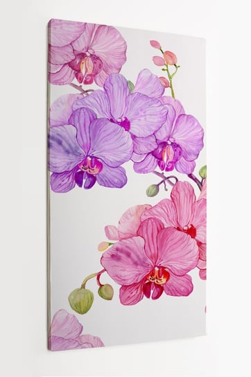 Obraz na płótnie HOMEPRINT, kwiaty orchidei, storczyk, fioletowe, różowe 60x120 cm HOMEPRINT