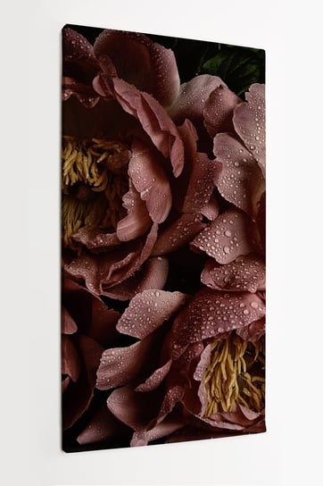 Obraz na płótnie HOMEPRINT, kwiaty piwonii, styl vintage, krople wody, poranna rosa 50x100 cm HOMEPRINT