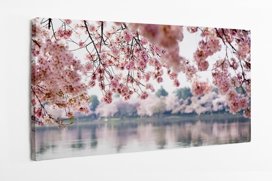 Obraz na płótnie HOMEPRINT, kwiaty wiśni, jezioro, wiosna, kwitnące drzewa, Waszyngton ,USA 100x50 cm HOMEPRINT
