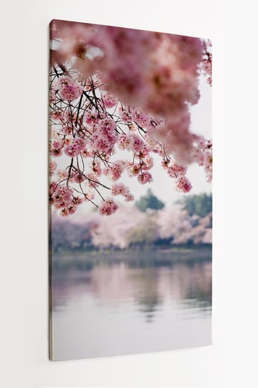 Obraz na płótnie HOMEPRINT, kwiaty wiśni, jezioro, wiosna, kwitnące drzewa, Waszyngton ,USA 50x100 cm HOMEPRINT