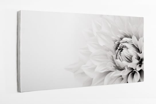 Obraz na płótnie HOMEPRINT, kwitnąca biała dalia w kolorze czarno-białym 100x50 cm HOMEPRINT
