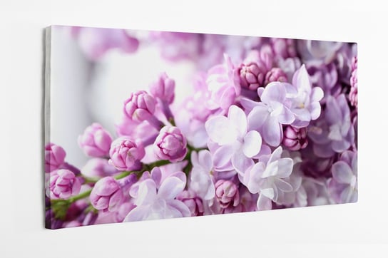Obraz na płótnie HOMEPRINT, kwitnące fioletowe kwiaty bzu tło, zbliżenie, wiosna, wiosenne kwiaty 140x70 cm HOMEPRINT