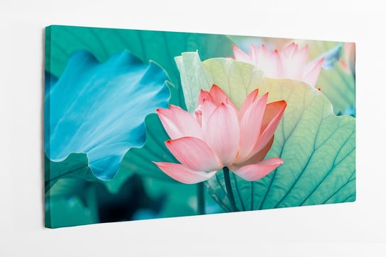 Obraz na płótnie HOMEPRINT, kwitnący kwiat lotosu 140x70 cm HOMEPRINT